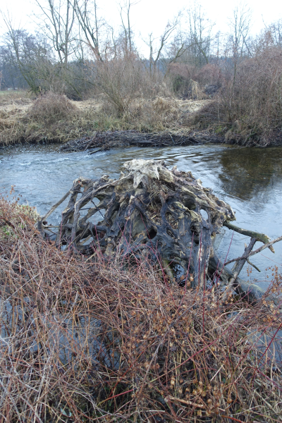 Zusätzliches Bild 1