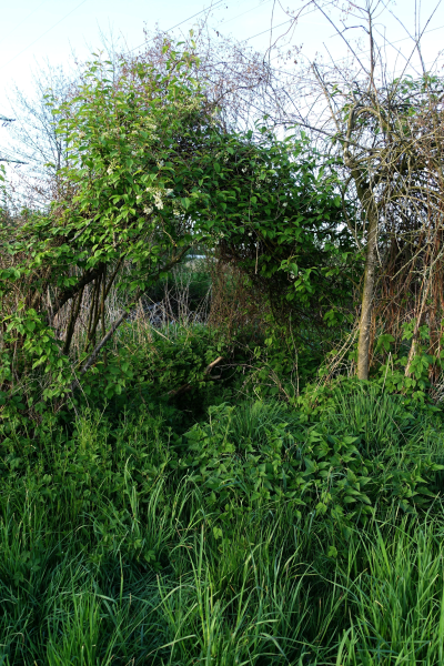 Zusätzliches Bild 2