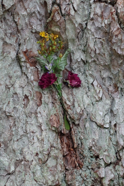 Zusätzliches Bild 5