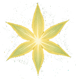 Lumas Sternblütenportal